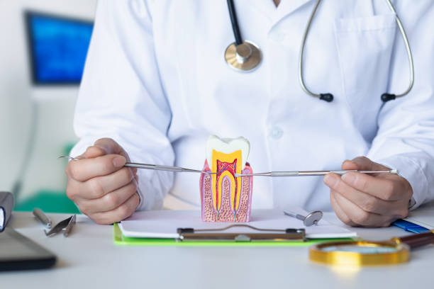 Best Emergency Cosmetic Dentistry in San Luis Obispo, CA